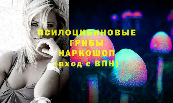эйфоретик Алзамай