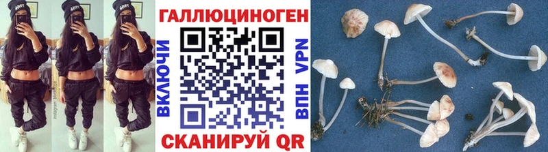 Галлюциногенные грибы Cubensis  Кимовск 
